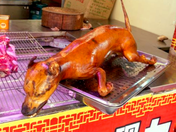 ファイル:Chinese Cuisine -(狗肉菜)Dog Meat Dishes.png