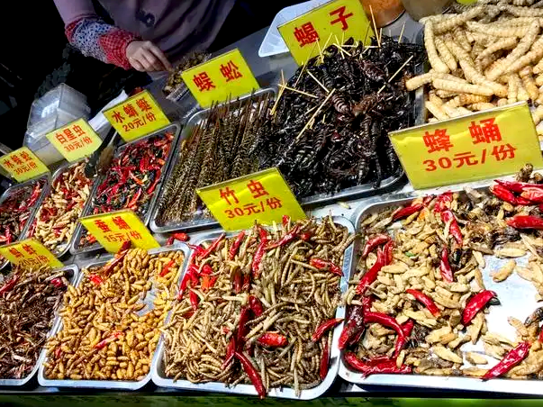 ファイル:Chinese Cuisine -(虫菜)Worms and Insects Dishes.png