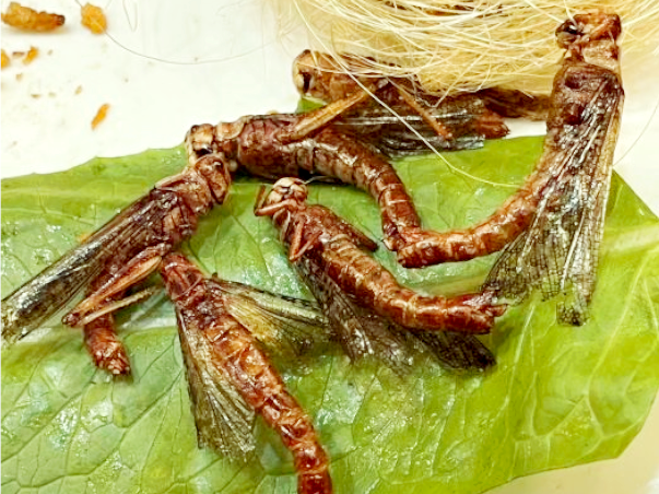 ファイル:Chinese Cuisine -(炸蜻蜓)Zha Qing Ting.png