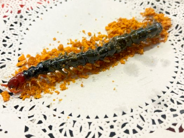 ファイル:Chinese Cuisine -(炸蜈蚣王)Zha Wu Gong Wang.png