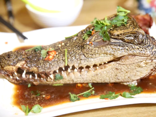 ファイル:Chinese Cuisine -(鳄鱼菜)Crocodile Dishes.png