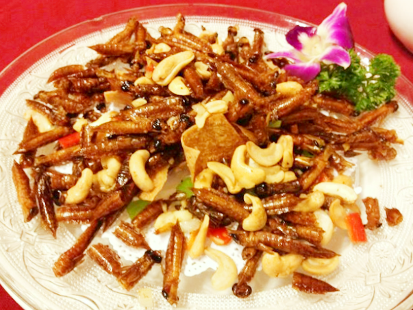 ファイル:Chinese Cuisine -(椒盐草蜢)Jiao Yan Cao Meng.png