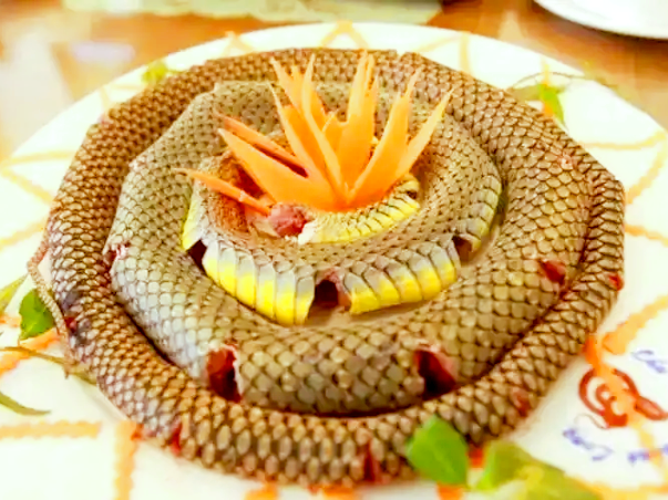 ファイル:Chinese Cuisine -(蛇肉菜)Snake Dishes.png