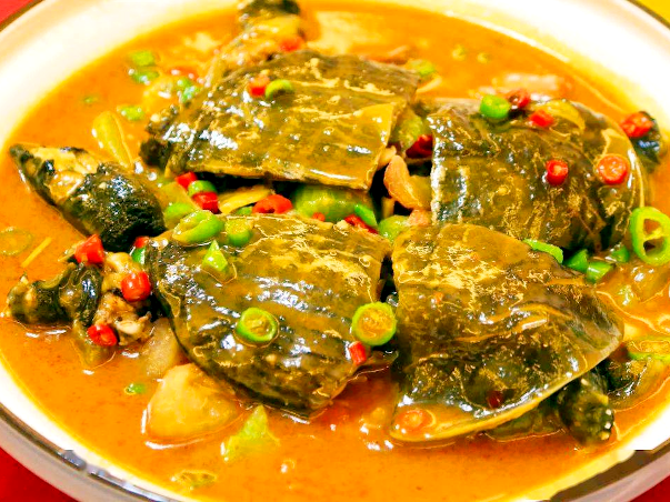 ファイル:Chinese Cuisine -(甲鱼肉菜)Turtle Dishes.png