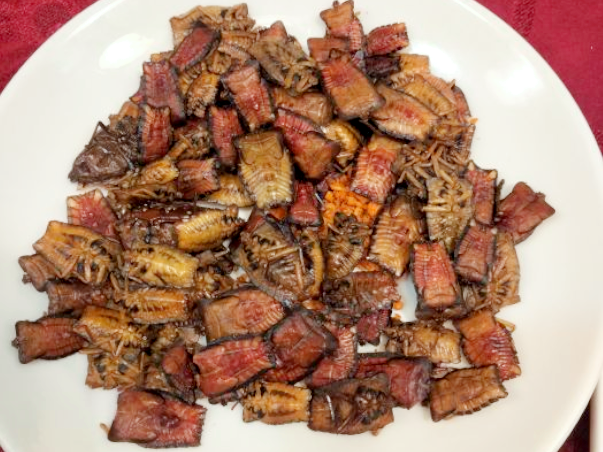 ファイル:Chinese Cuisine -(炸荔枝椿象)Zha Li Zhi Chun Xiang.png