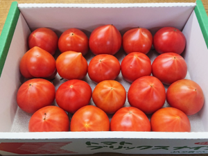 Japanese Brand Tomatoes - Brixnine from Gunma.png