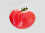 Heirloom Tomato - Maria Amazilitei.png