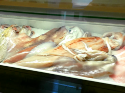 Azorean Seafood -（Lula Riscada）Veined Squid.png