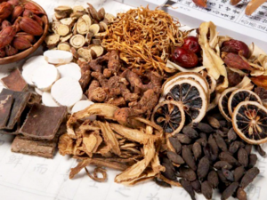 Chinese Herbology - 中药.png