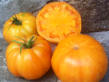 Heirloom Tomato - Kentucky Beefsteak.png