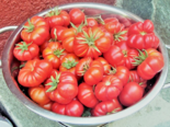 Heirloom Tomato - Santorini.png