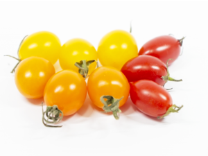 Japanese Tomato Varieties - Aiko by Sakata Seed.png