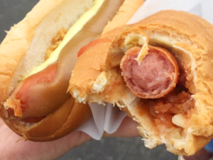 Cross section of Pylsa.png