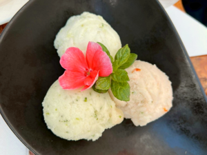 Icelandic Cuisine -（Friðheimar）Friðheimasorbet.png