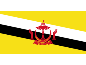 Brunei Darussalam.png