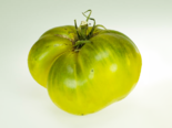 Heirloom Tomato - Aunt Ruby's German Green.png