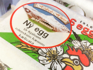 Icelandic Eggs -（Holtselsbúið）Ný egg.png