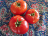 Heirloom Tomato - Nepal.png