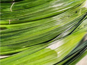 Chinese Cuisine -（斑斓叶）Pandan Leaves.png