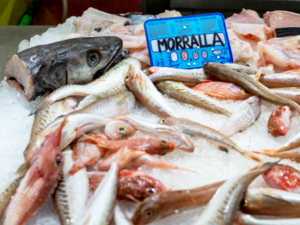 Morralla - Spanish Small Fish and Bony Parts of Fish are the Secret of Its Taste.png