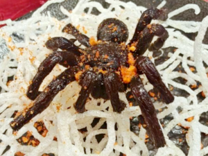 Chinese Cuisine -（炸海南蜘蛛）Zha Hainan Zhi Zhu.png