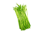 Aquatic Vegetables - Seleng Wormwood.png