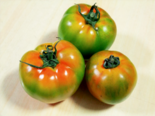 Heirloom Tomato - 黑柿番茄 in Taiwan.png