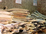Portuguese Dried Fish -（Bacalao Seco）Dried and Salted Cod.png