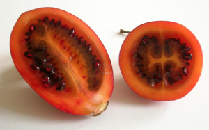 Tamarillo cut open.png