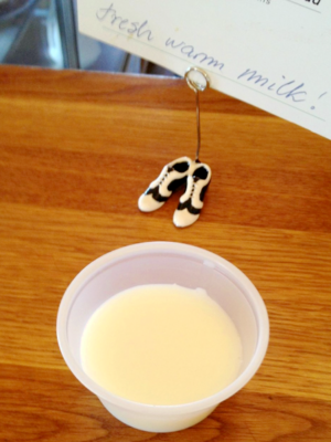 Icelandic Dairy Products - Nýmjólk.png