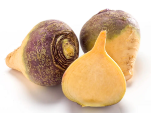 Brassica napobrassica - Rutabaga.png