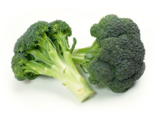 Brassica oleracea var. italica - Broccoli.png