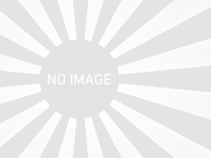 Japanese Tomato Dishes - Onion Saute from the Battleship Kongo.png