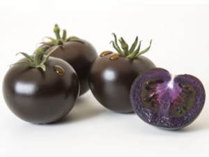 Genetically Modified Tomato - Purple Tomato developed in John Innes Centre.png