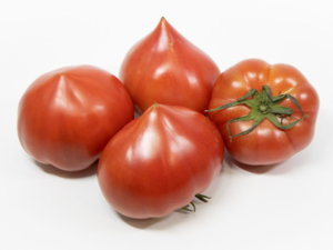 Japanese Brand Tomatoes - First Tomato from Aichi.png