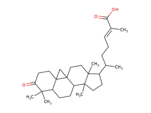 Triterpenoid - Mangiferonic acid.png