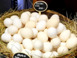 Icelandic Eggs -（Chicken）Hænuegg.png