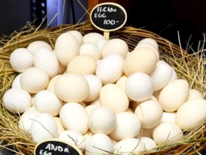 Icelandic Eggs -（Chicken）Hænuegg.png