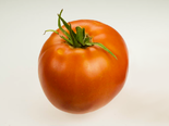 Heirloom Tomato - Rutgers.png