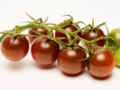 Heirloom Tomato - Chocolate Cherry.png