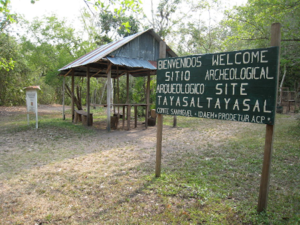 Tayasal Archaeological site.png