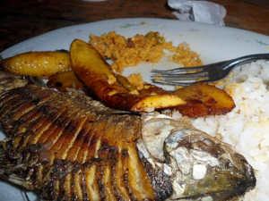 Colombian Tomato Dishes - Bocachico en cabrito.png