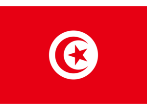 Republic of Tunisia.png