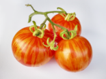 Heirloom Tomato - Tigerella.png