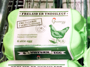 Icelandic Eggs -（Grænegg）Vistvæn Egg.png