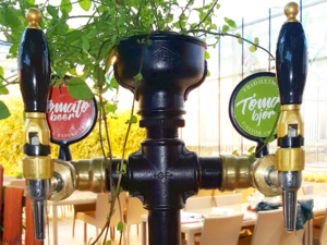 Friðheimar -（Beer Taps）Tómatbjór.png