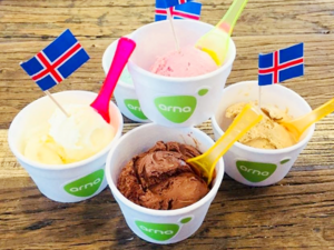 Icelandic Frozen Desserts.png