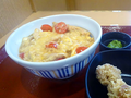Japanese Tomato Dishes - Oyakodon Italian at Nakau Fast Food Restaurant.png