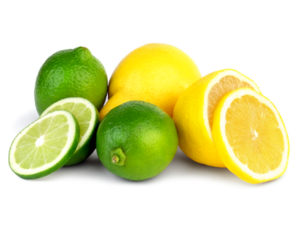 Citrus limon - Lemon.png