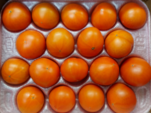 Japanese Brand Tomatoes - Koitoma GABA Rich from Hyogo.png
